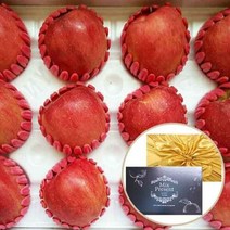 장보리 명절 고급 청송사과 선물세트 5kg (14-16과)