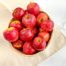 고당도 미니 루비에스 한입 사과, 1개, 1kg