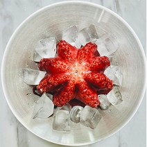 냉동문어 자숙 데친 삶은 제수용 수입 필리핀 문어 1kg, 필리핀 자숙문어 1000~1300g 1마리