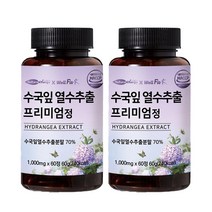 웰핏 수국잎 열수 추출물 프리미엄정 1000mg X 60정, 2박스