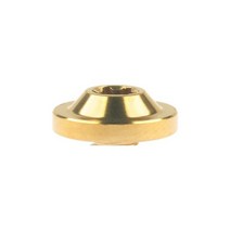 Wanyifa 티타늄 볼트 M5x10 12 15 20 25 30 35mm Torx T25 플럼 헤드 Ti 나사 자전거 오토바이 수정용105873, 30mm, M5, 금