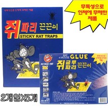쥐파리 끈끈이 2매입, 5개