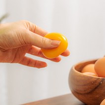 전남 화순 무항생제 동물복지 유정란 난각번호1번 자연방사 평사 방목 계란 20구 40구, 무항생제 방사 유정란 삼초계란 1번 40구