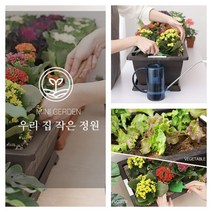 우리집 작은정원 친환경 유기농 라이프 옥상 베란다 텃밭 채소밭 화분, 브라운