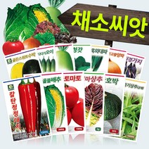다농 채소 씨앗모음전 - 열매채소 뿌리채소 잎채소 쌈채소 고추 토마토 배추 무 상추 갓 파 부추 호박 가지 딸기 오이 멜론 여주 수세미 박 씨앗 종자, AL04=차이나왕부추씨앗8g!