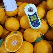제주 비파괴 고당도 한라봉 5~10kg (벌크), 1개, 3.제주한라봉(41-50과/중소과)9-10kg