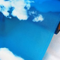 데코미 점착 무점착 유리창문 시트지 193종, HBG-36007 (점착식창문-구름)