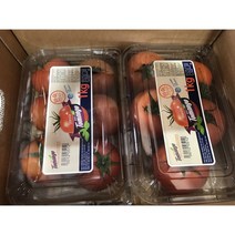 후니청과 토망고 단토마토 스테비아토마토 1kg 2kg (팩포장), 스테비아방울토마토, 500g