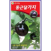 노각 오이 씨앗 50립 - 웰빙오이 늙은오이 오이씨앗 야채씨앗 채소씨앗 채소재배 종묘 종자 베란다 텃밭 씨 씨앗 호박 방울토마토 수박, 03_다농_둥근달 가지(100립)