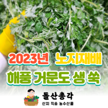 [돌산총각] 거문도 생쑥 노지재배 해풍 쑥, 거문도 쑥 1kg