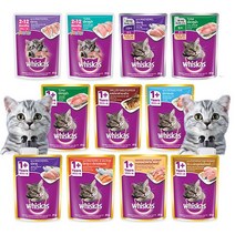 위스카스 고양이 습식사료 파우치 85g, 오션피쉬