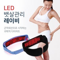 레이비 LED다이어트벨트 온열복대, 복대형 블랙(뉴레이비)