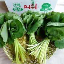 김해 머위 머위나물 1kg 2kg 4kg 머위순 머위잎 머위쌈 산지직송, 머위 4kg