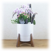PFA053 은혼식 부모님 어버이날 서 양난 키우기 선물
