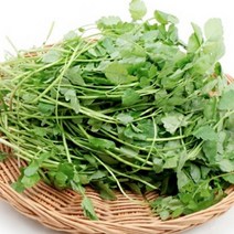 국내산 돌미나리 생 미나리 나물 330g 2봉 4봉, 돌미나리 330g x 2봉, 2개