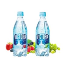 빅토리아 탄산수 500ml X 20페트 베리베리/청포도 택1 가능, 베리베리