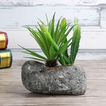 미니선인장 미니화분 조경 시멘트화분 조화, 상세페이지 참조