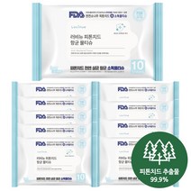 러비뉴 피톤치드 저자극 항균 손소독 휴대용 물티슈 10매, 10개, 10매입