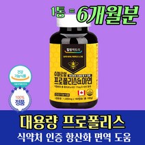 환절기 일교차 건강 면역 영양제 입안이헐었을때 6개월 캐나다 로얄 프로폴리스 아연 징크 zinc propolis 항산화