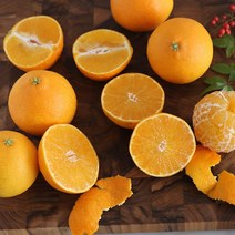 제주스카이팜 - 제주 산지직송 가정용 선물용(가방포함) 못난이 황금향 2kg 3kg 5kg 10kg, 선물용 5kg 특대과 (8~16과)-가방포함, 1개