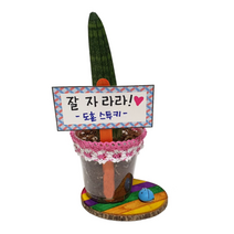 식목일 스투키 레이스화분 만들기 DIY 학교 어린이집 유치원 단체 수업