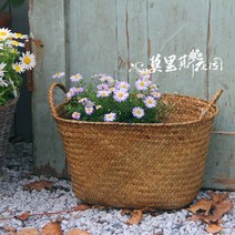 가구 인도네시아 풀로엮은 화원 화분 라탄바구니, C01-23-25CM