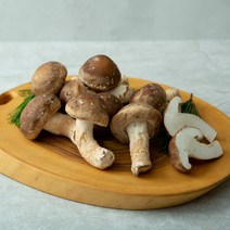 송이버섯(송향) 송화버섯 송고버섯 오전12시전주문시 내일도착(주말 및 공휴일 제외), 1박스, 선물용(중품)500g