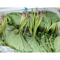 국내산 머위잎 4kg