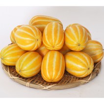 성주 참외 가정용 아삭 꿀 참외 신선도 관리철저 산지직송, 가정용참외 주문6 대과 3kg