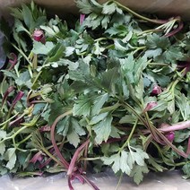 삼잎국화나물 꽃나물 키다리나물 구례 지리산골 생나물, 꽃나물 3kg, 1개