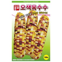 [모종심는아빠] 흑색 백색 자색 황색 남색의 오색옥수수 씨앗 100립
