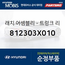 트렁크 리드 래치 (812303X010) 아반떼MD 현대모비스 부품몰