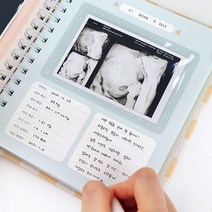 천유 인디고 우리 아기 초음파 앨범 산모 수첩, 버드, 버드