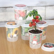 [KT알파쇼핑](꿈쟁이) 그로우 톡톡 - 마음을 노크하는 작은 정원, 허브바질_W15809A