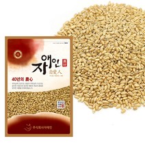 인기 많은 통밀쌀 추천순위 TOP100 상품들