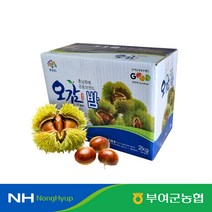 부여조공법인 [서부여농협] 부여 굿뜨래 햇 밤 4kg 대