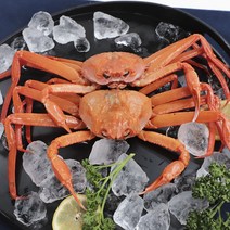 룰루네상점 자숙 홍게 5마리 750g 1.5kg 당일조업 구룡포 연지홍게 대게 수율보장, 육수용 홍게 10마리 (비품)