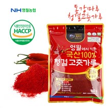 영월농협 동강마루 청결 고춧가루 500g(보통맛), 1세트