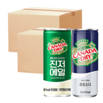 캐나다 진저에일 30캔 +클럽소다 30캔 (각 250ml), 캐나다 진저에일 30캔 +클럽소다 30캔(각250ml)