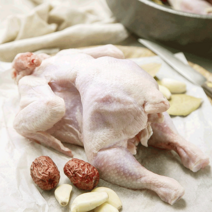 [올계] 유기농 닭 영계 한마리 (냉동) 500g 삼계탕용, 1개