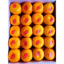 [[과일누리]]고당도 (비가림)햇 하우스서귀포감귤 (로얄과) 3kg, 로얄과 (30~35과)  3kg