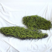 달리베리 내추럴 이끼 타원형 매트 (2종택1) 조경 디자인 플라워데코 인조이끼통, 라지, 1개