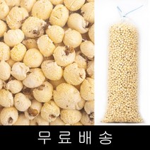 코리아푸드 팝콘강냉이 옥수수팝 1.3kg 1개 box포장, 1.1kg