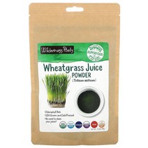 와와마켓 Wilderness Poets 그린 슈퍼푸드 오가닉 밀싹즙 파우더 Wheat Grass Juice Powder 99g 1팩