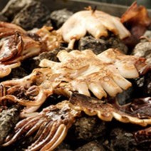 피데기 반건조 오징어 반건 말린 마른 건조 구룡포, 피데기 반건조 5미 650g, 1개