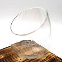 사선 테라리움 유리병 식물화분 12x15cm 40대여성