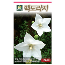 [다농] 백도라지씨앗 1000립, 2개