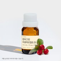 윈터그린 아로마오일 에센셜오일 E.O 테라피, 100ml