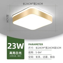 통로 조명 간단한 복도 조명 초박형 긴 휴대품 보관소 천장 조명 발코니 현관-43446, 옵션05