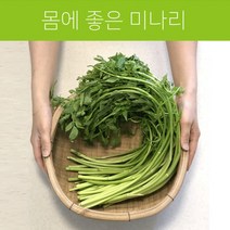 깨끗한 세척 돌미나리, 1kg, 1개